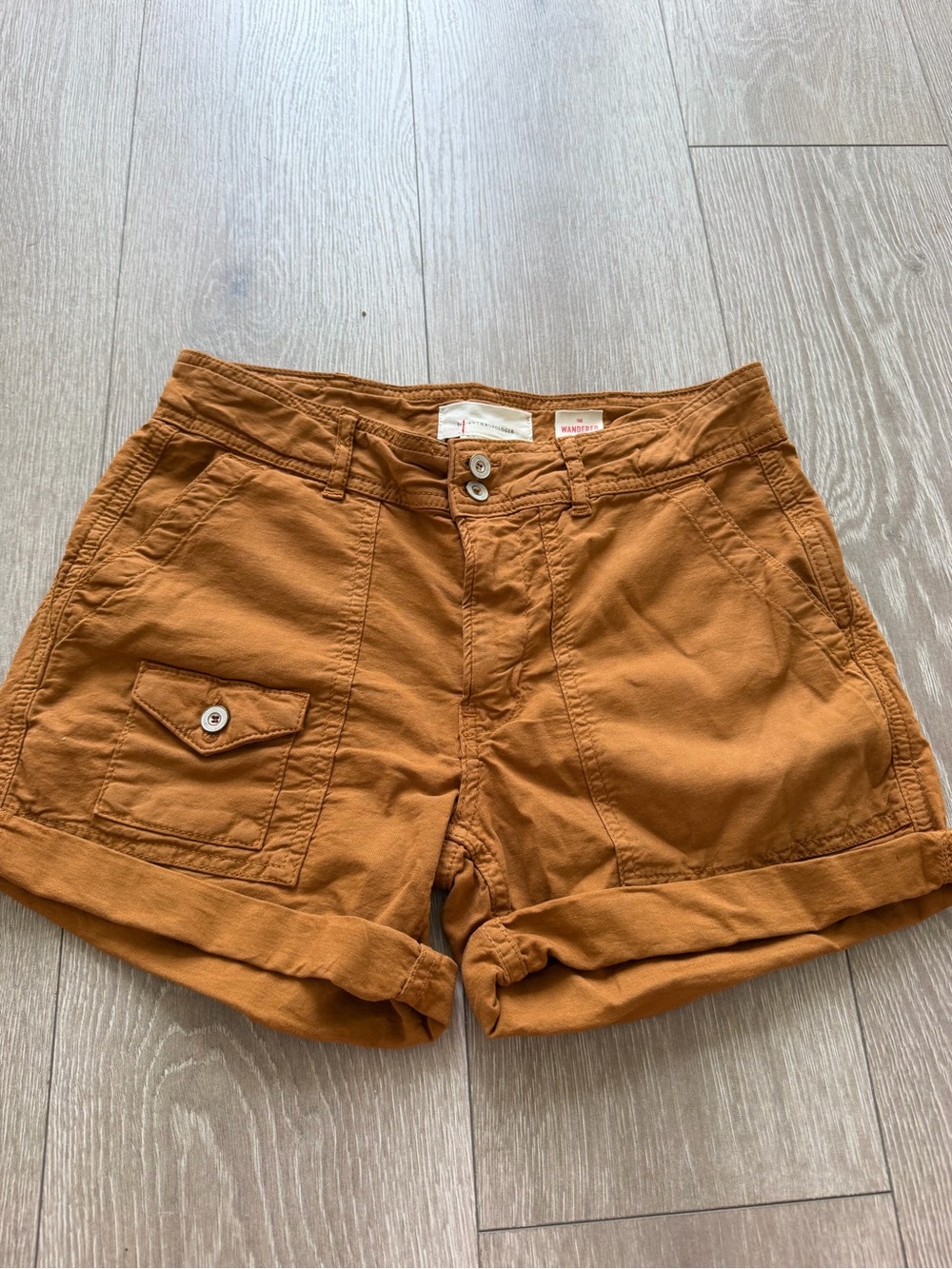 Anthropology Shorts